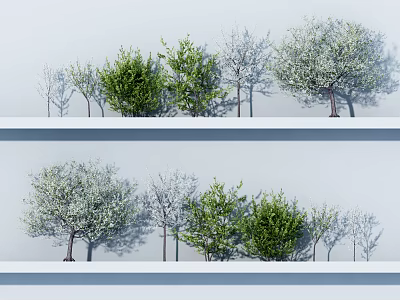 Different Types of Arbor Trees with Green Leaves and White Flowers Arranged on White Background 3d model