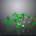 Diverse Plants With Green Leaves Purple Red Small White Flowers Apple And Shovel