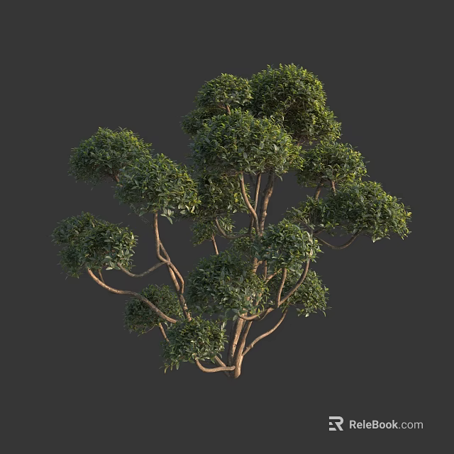 Lush Green Tree With Dense Foliage And Natural Branching Structure 3d model