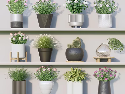 Varied Bonsai Potted Plants On Multi Layer Shelves With Different Greenery And Decorative Pots 3d model