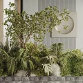 Lush Green Plants Display With Palm Leaves Ferns And Tree In Decorative Setting