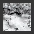 Natural Garden Landscape Design With Snowy Mountains And Pine Trees On Snowy Ground