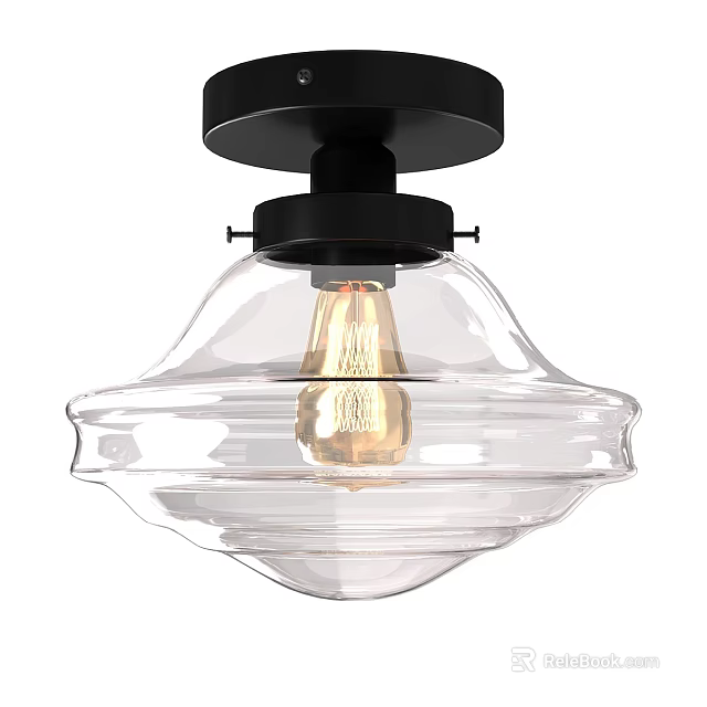 Modern Ceiling Light With Transparent Glass Shade And Black Base Design 3d model 