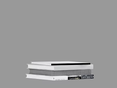 Stacked White And Gray Books With Hardcover And Paperback Cover Designs 3d model