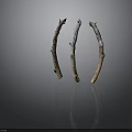 Curved Plant Branches With Different Colored Textures On Grey Background And Bottom Reflection