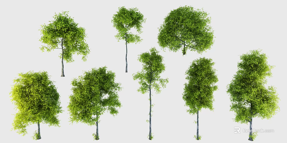 Multiple Green Arbor Trees With Various Crown Shapes For Garden Landscaping 3d model