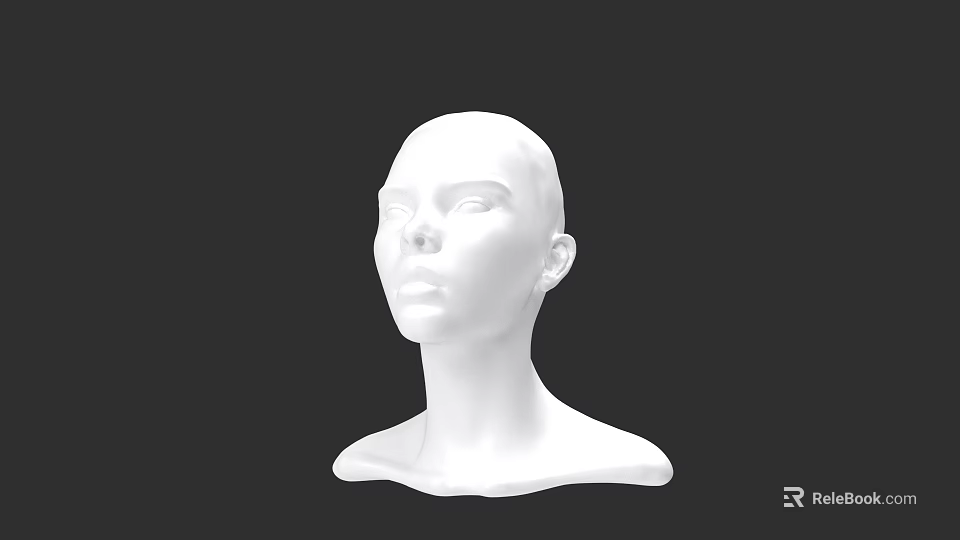 White Male Head Mannequin Bust Sculpture Isolated On Black Background 3d model 