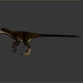 Lifelike Feathered Dinosaur With Open Mouth And Extended Wings On Dark Background