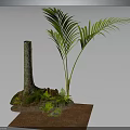 Lush Palm Plant with Tree Trunk Small Green Plants Moss and Brown Ground Cover