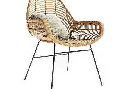 Rattan Leisure Chair With Cozy Cushion And Black Metal Legs In Modern Style 3d model
