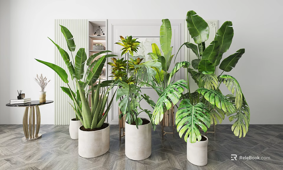 Large Leafy Indoor Potted Plants In White Ceramic Pots For Modern Home Decor 3d model 