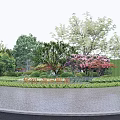 Arboreal Trees Centerpiece In Landscaped Garden With Lush Greenery Flowering Shrubs And Circular Paved Area