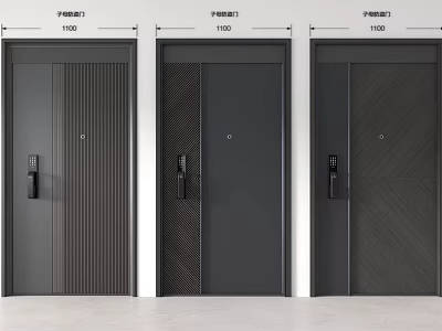 Modern Security Doors With Vertical Lines Secure Locks And Dark Gray Finishes 3d model