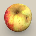 Fresh Ripe Apple With Red And Yellow Spotted Skin And Brown Stem