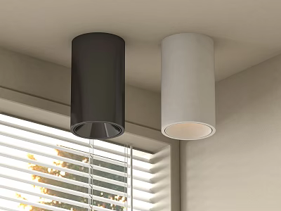 Black and White Cylindrical Ceiling Mounted Downlights and Spotlights in Room Interior 3d model