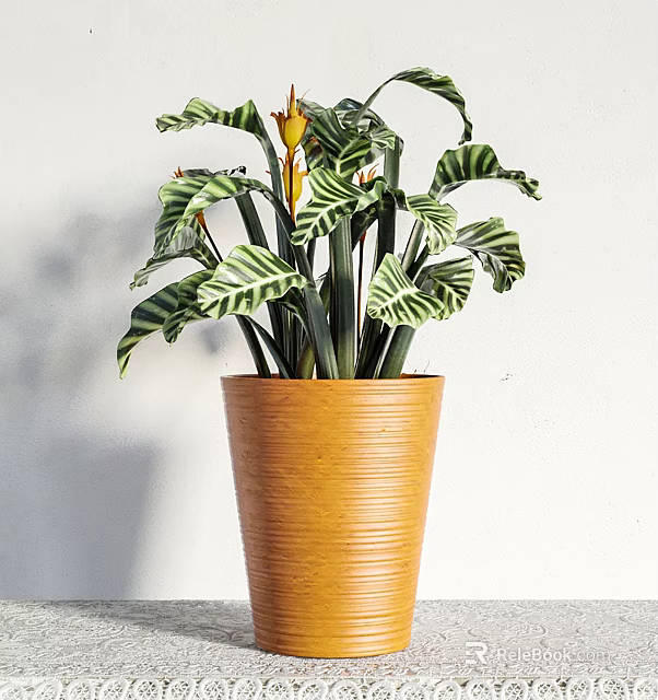 Potted Plant With Green And White Striped Leaves In Orange Textured Pot For Indoor Decoration 3d model 