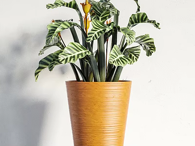 Potted Plant With Green And White Striped Leaves In Orange Textured Pot For Indoor Decoration 3d model