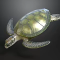 Realistic Detailed Sea Turtle With Green Textured Shell And Patterned Fins