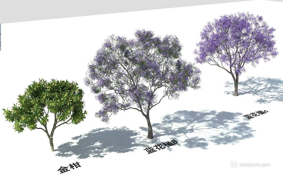 Different Ornamental Trees Featuring Golden Jacaranda Green Foliage and Purple Flowers 3d model 