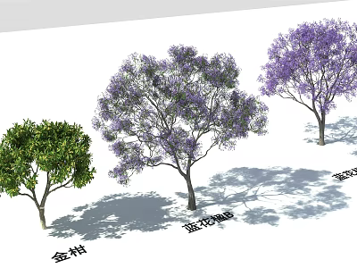Different Ornamental Trees Featuring Golden Jacaranda Green Foliage and Purple Flowers 3d model