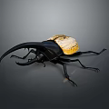 Rhinoceros Beetle With Large Horn Black Body And Yellow Elytra On Gray Background