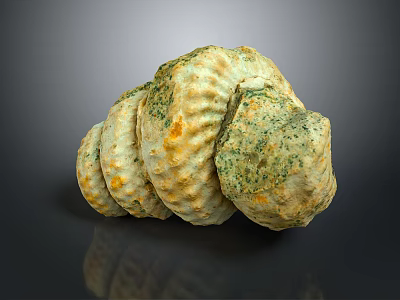 Marine Gastropod Shell With Natural Spiral Texture And Green Mossy Surface 3d model