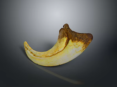 Unique Crescent Shaped Yellow And Brown Object With Natural Textured Surface And Curved Design 3d model