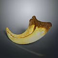 Unique Crescent Shaped Yellow And Brown Object With Natural Textured Surface And Curved Design