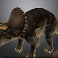 Realistic Triceratops Dinosaur Figure With Large Horns Spiked Frill And Open Mouth