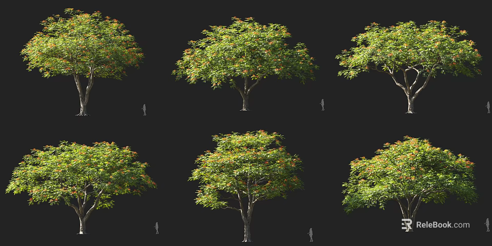 Multiple Arbor Trees Display Green Yellow Orange Leaves With Human Figure For Scale On Black 3d model 