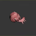 Detailed Organ Heart Model with Hair Follicle and Vascular Structure Features