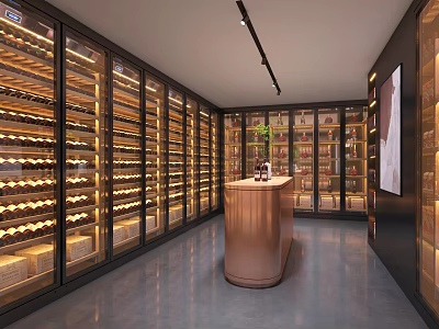 Modern Wine Cellar Interior With Glass Door Wine Racks Neatly Arranged Bottles And Copper Counter 3d model