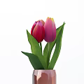 Beautiful Gradual Color Vase With Pink And Red Tulips And Green Leaves