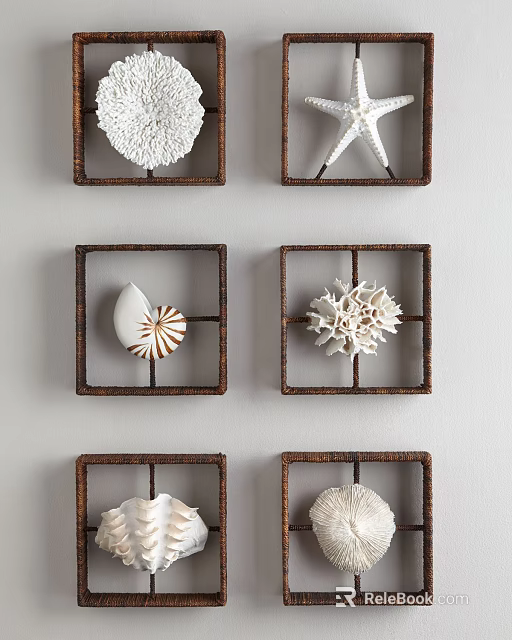 Coastal Style Wall Decor With Framed Shell And Starfish 3d model