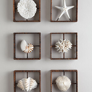 Modern Wall Decoration Coral Wall Decoration 3d model