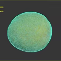 Fresh Ripe Yellow And Green Melon With Net Like Texture On Black Surface