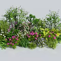 Vibrant Mixed Flowers And Green Plants In Lush Garden Bloom Arrangement