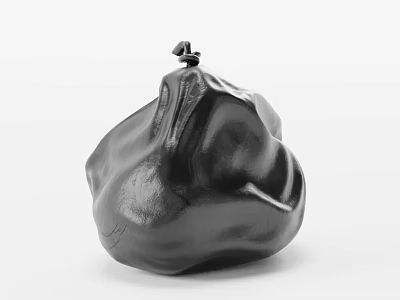 Stylish Black Irregular Shaped Pouch With Wrinkled Design And Top Closure For Daily Use 3d model