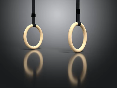 Hanging Wooden Gymnastic Rings With Black Straps On Dark Reflective Background 3d model