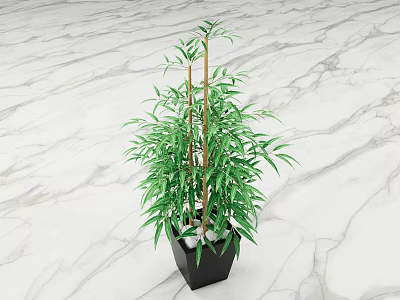 Bamboo Bonsai Plant With Green Leaves And Stems In Black Pot On Marble Surface 3d model