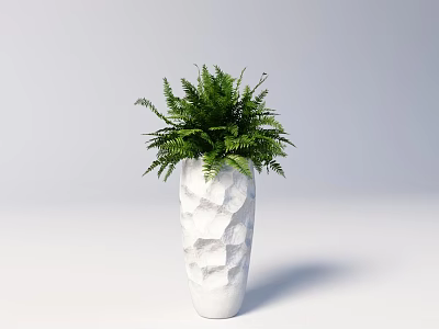 Green Potted Fern Plant In White Irregular Textured Vase On Light Gray Background 3d model