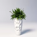 Green Potted Fern Plant In White Irregular Textured Vase On Light Gray Background
