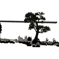 Scenic Garden Landscape Design Featuring Mature Trees Rock Formations And Green Plants