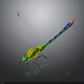 Detailed Vibrant Dragonfly With Colorful Body Transparent Wings And Iridescent Reflections