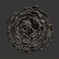 Natural Pine Cone With Detailed Brown Texture On Dark Reflective Background