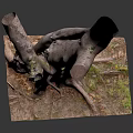 Natural Wood Stump Sculpture With Exposed Roots And Moss On Square Base