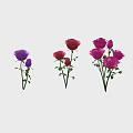 Beautiful Purple Pink And Red Roses Various Bouquets With Different Flower Counts On Light Background