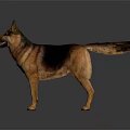 Detailed German Shepherd Dog Standing on Dark Background with Clear Reflection 3d model
