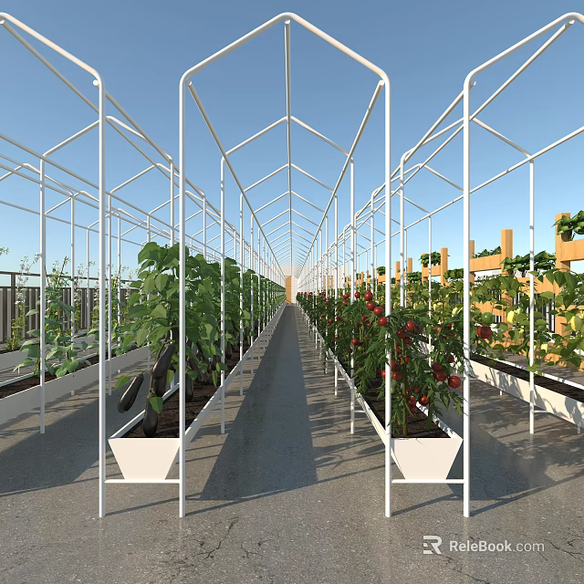Garden Landscape Featuring Greenhouse Metal Frame With Tomato Plants And Growing Beds 3d model 