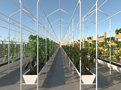 Garden Landscape Featuring Greenhouse Metal Frame With Tomato Plants And Growing Beds 3d model